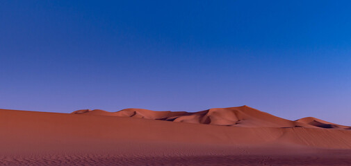 Fototapeta na wymiar Evening in the Desert 