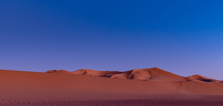 Evening in the Desert 