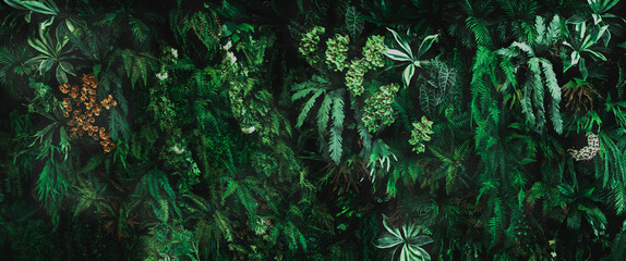 Herb wall, plant wall, natural green wallpaper and background. nature wall. Nature background of...