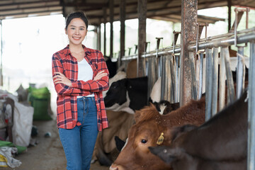 agriculture industry, dairy farming, livestock, animal health and welfare. Portrait of dairy farmer female in cowshed on dairy farm. Female veterinarian in cowshed on dairy farm