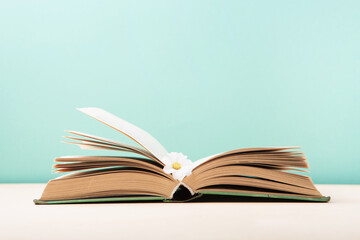 World book and Copyright day, Education concept on Blue Mint Background.