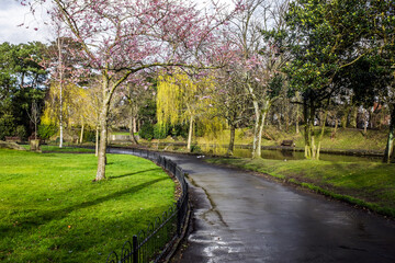 Fototapeta na wymiar Botanic Gardens, Churchtown, Southport, Merseyside, UK.