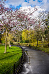 Botanic Gardens, Southport, UK.