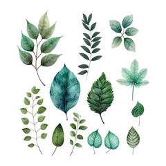 Vector watercolor illustrations. Botanical clipart. Set of Green leaves, herbs and branches. Floral Design elements. Perfect for wedding invitations, greeting cards, blogs, posters and more