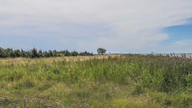 Puise beach in western Estonia. Summer and sun.