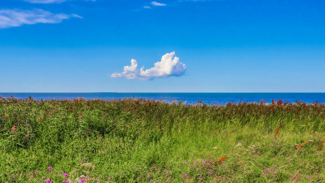 Puise beach in western Estonia. Summer and sun.