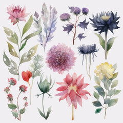 Set of meadow flowers watercolor illustration. Generative AI