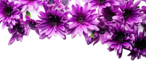 Purple flowers on white transparent background png. Generative AI