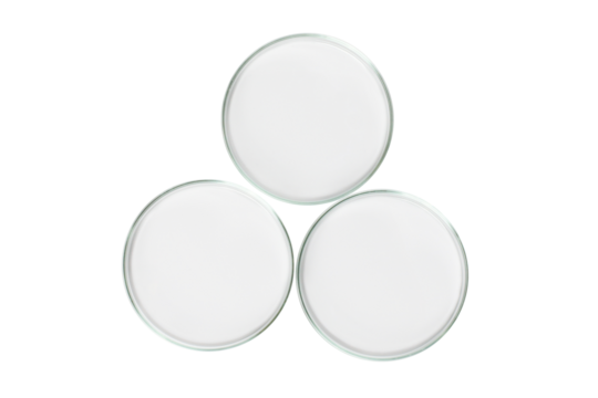 Three Petri dishes empty from glass isolated. PNG.
