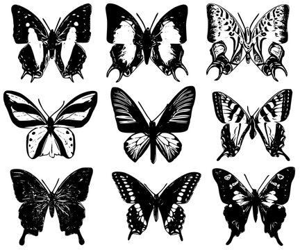 set of butterfly silhouette svg