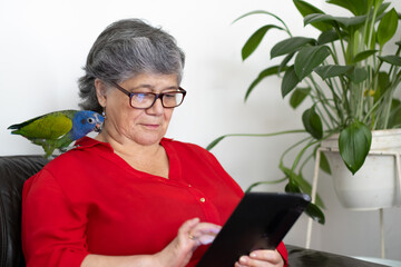 Discovering the digital world, elderly woman sitting on sofa using tablet with parrot pet © Kaincloud