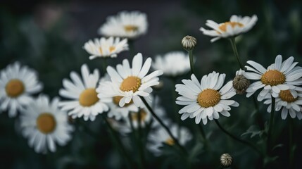 white flowers, generative AI