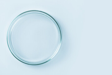 Empty petri dish made of blue glass. On a blue background.