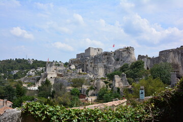 Obraz premium Avignon, a fortified town along the Rhone River, France
