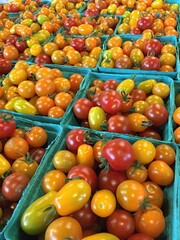 Bunte Cherry Tomaten auf einem Markt in Nantucket