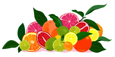 Assortment of exotic fruits on white background.
Sweet tropical fruits. Orange, kumquat, tangerine, grapefruit, lemon, lime.