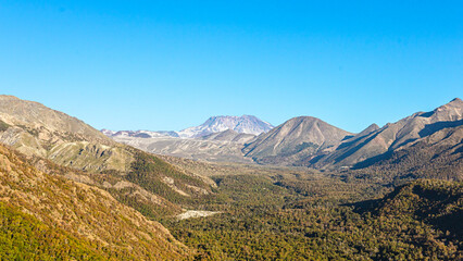 landscape in the summer