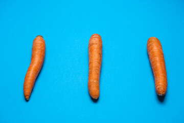 Fresh Carrots isolated on blue background
