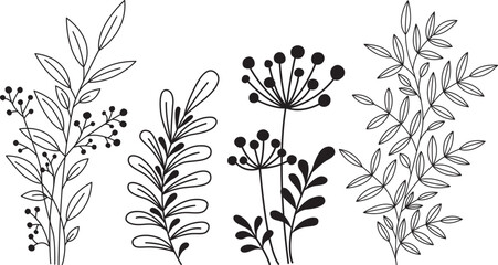 Vector doodle illustration of branches with different leaves. Hand drawn botanical design element. Black and white