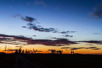 Fototapeta na wymiar Sunset with silhouettes of trees.
