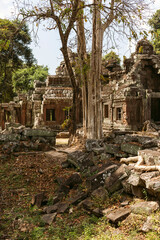 Fototapeta na wymiar Angkor Wat temples in Siem Reap, Cambodia