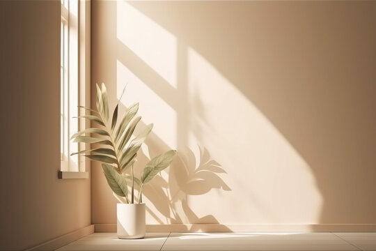 plant in front af a wall 
