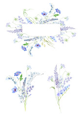Fototapeta na wymiar Tiny, delicate wild spring flowers. Field, meadow spring flowers. Summer field flowers. Wild poppies, garden tulips. Watercolor spring bouquets, frames and wreaths on a white background. Holiday 