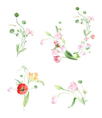 Tiny, delicate wild spring flowers. Field, meadow spring flowers. Summer field flowers. Wild poppies, garden tulips. Watercolor spring bouquets, frames and wreaths on a white background. Holiday 