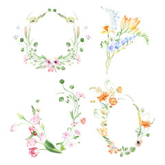 Obraz na płótnie Canvas Tiny, delicate wild spring flowers. Field, meadow spring flowers. Summer field flowers. Wild poppies, garden tulips. Watercolor spring bouquets, frames and wreaths on a white background. Holiday 