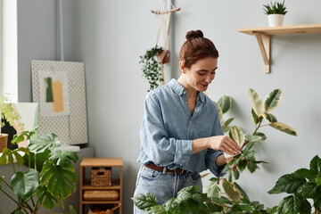 Waist up portrait of smiling young woman caring for lush greenery at home and inspecting plants