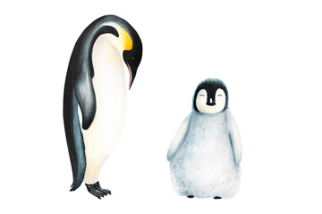 Watercolor king penguin family isolated on white background. Hand painting realistic Arctic and Antarctic ocean mammals. For designers, decoration, postcards, wrapping paper, scrapbooking, covers