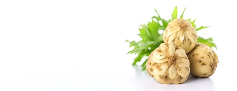 Fresh Jerusalem artichoke on a white background with a leaf. Header banner mockup with space. AI generated.