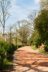 Path in park.