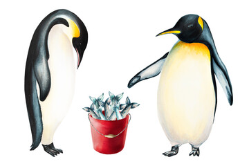 Watercolor king penguins with red bucket full of fish. For designers, decoration, postcards, wrapping paper, scrapbooking, cover and logos, invitations, posters and textile
