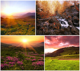 stunning summer collage, awesome evening landscape, beautiful nature background in the mountains