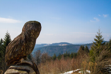 Wooden owl with spring countryside.
