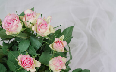 Obraz na płótnie Canvas bouquet of pink roses in vase close up ,natural flower background