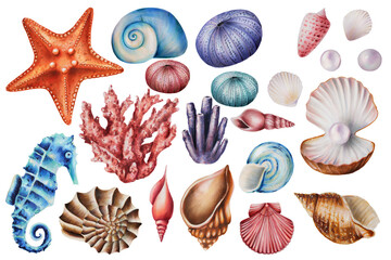 Watercolor set with corals, sea urchins, horses and shells. Hand painting clipart underwater life objects on a white isolated background. For designers, decoration, postcards, wrapping paper