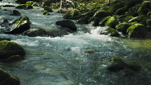 Dreamy forest stream with mossy rocks in slow motion. Wild mountain river flowing through boulders.