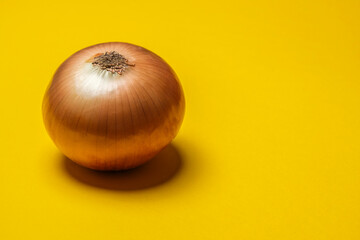 Organic whole white onion on a yellow background. Cool minimal flat lay, copy space