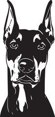Doberman head dog Vector  illustration Clipart 