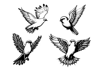 Holy Spirit Dove Drawings, Holy Spirit Illustrations, Holy Spirit Birds, Holy Spirit Transparent Vectors