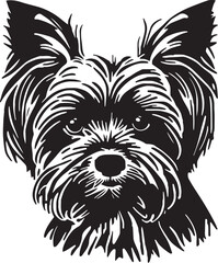 Yorkshire Terrier dog vector illustration