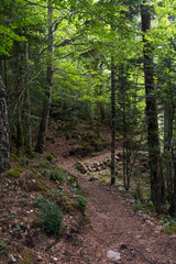 Ordesa and Monte Perdido Natural Park, Faja-Racón hiking route