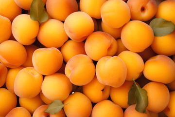 apricots background