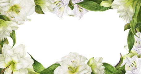 White lilies floral header border. Romantic composition for weddings and Valentines Day. Watercolor illustration, frame for congratulations and invitations