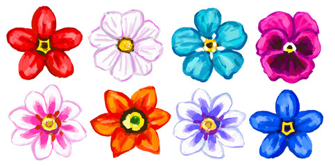 Obraz premium Set of beautiful flowers on white background.
