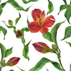 Seamless pattern of red alstroemeria flowers. Romantic composition for weddings and Valentines Day. Floral watercolor illustration for textiles, greetings and invitations