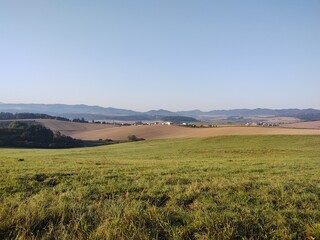 Obraz premium Green fresh grass on the meadow or garden and in the nature. Slovakia