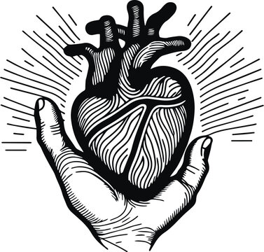 Human heart in hands vector illustration